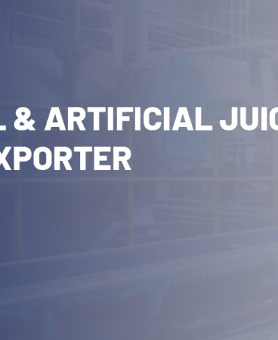 Natural & Artificial Juice Plant Exporter in India