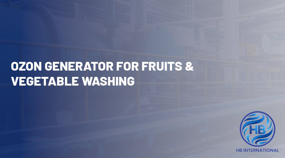 Ozon Generator for Fruits & Vegetable Washing